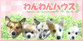 わんわんハウス様