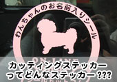 JbeBOXebJ[ɂ