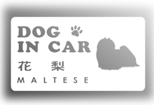 CAR002