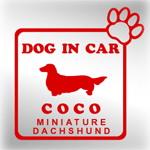 car008 sample