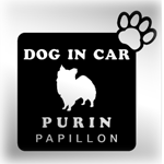 car009 sample