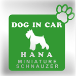 car009 sample