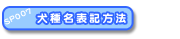 햼\L@